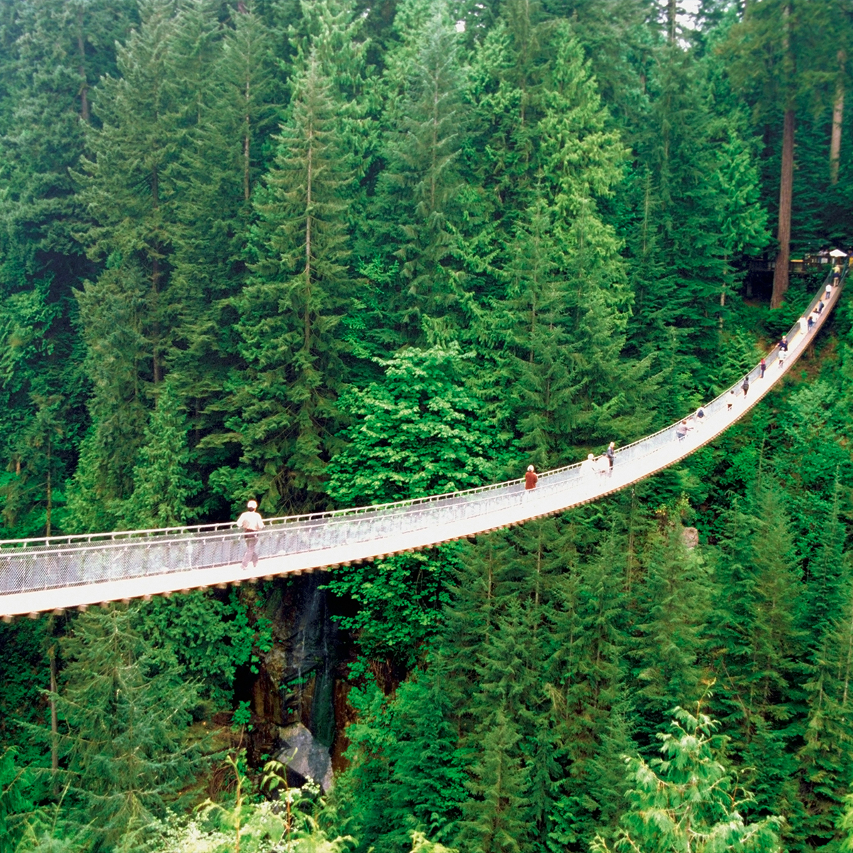 Capilano Suspension Bridge Park Canada