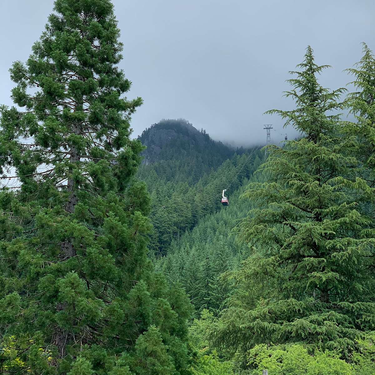 Grouse Mountain Canada